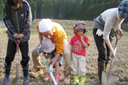 버려진 땅에 체험농장을 만든 일본 청년들